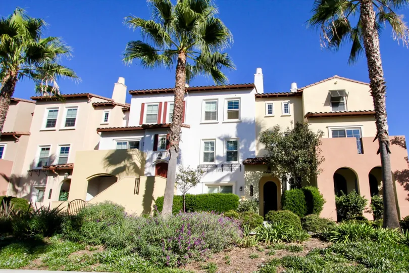Palm trees and mansion in Calico Bluffs, San Marcos CA