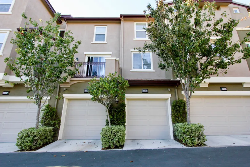 Trees and bushes lining the drivesway of Creekside Cottages in San Marcos, CA