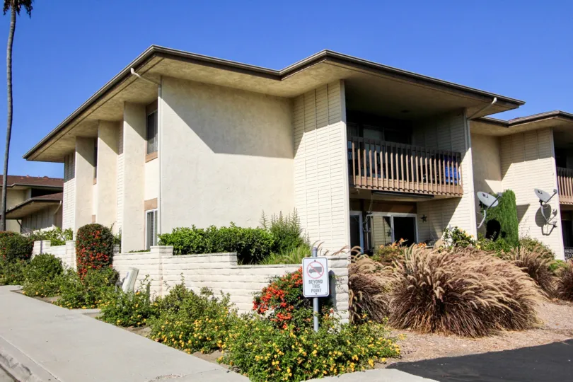 Huge brown plants in front of Lake San Marcos Condos in San Marcos CA