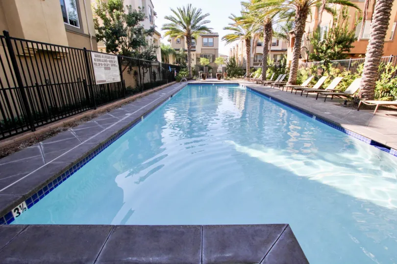Large rectangle pool lined with lawn chairs at Magnolia in San Marcos CA