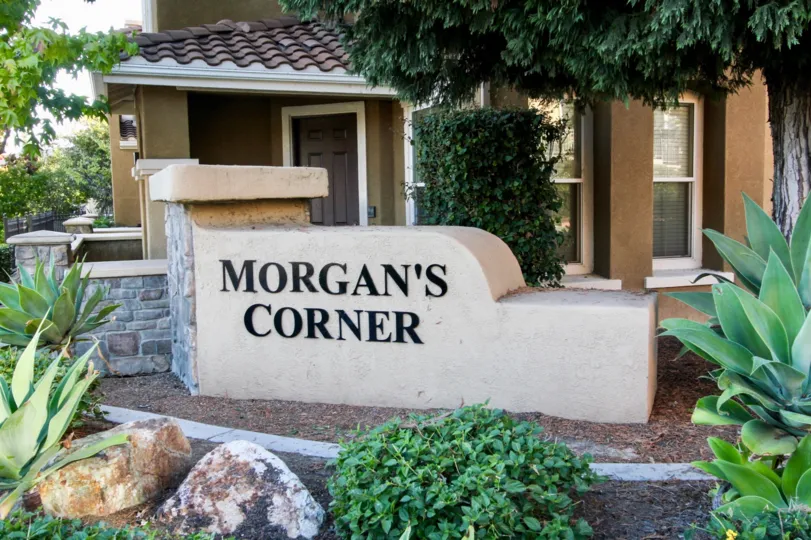 An assortment of rocks & plants in front of Morgans Corner in San Marcos CA