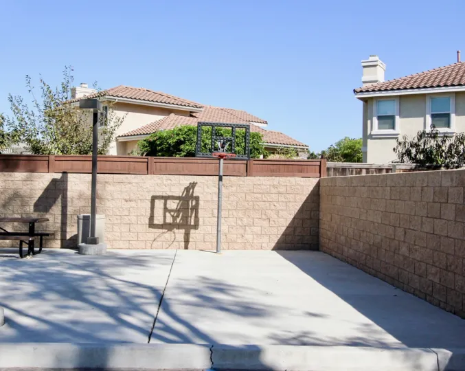 Sunny day in California, San Marcos, someone's backyard, with basketball hoop