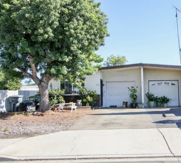 Large leaf filled tree outside of housing unit in San Marcos Manor in San Marcos CA