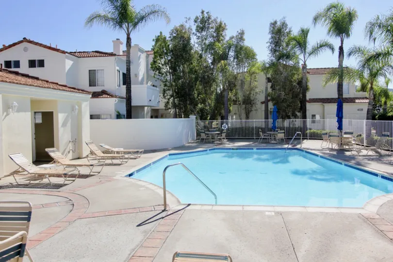 Private fenced-in swimming pool with plenty of poolside seating surrounded by mature palms for privacy in San Marcos