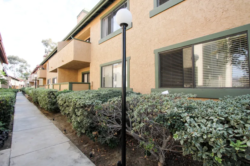 Riderwood Terrace  , Santee ,California,lamp ost, plants