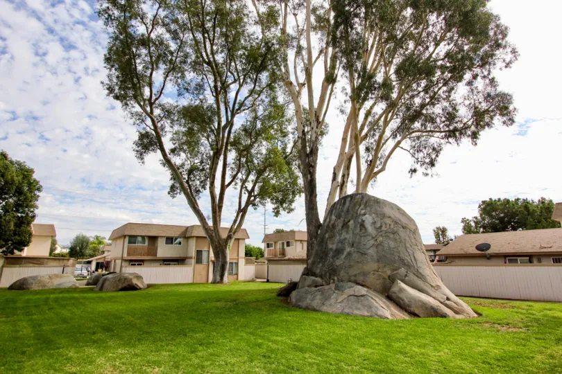Santana Ranch  ,: Santee , California, two  trees, rock