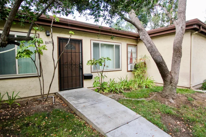 Large window home with white walls that have a brown trim with large tree.