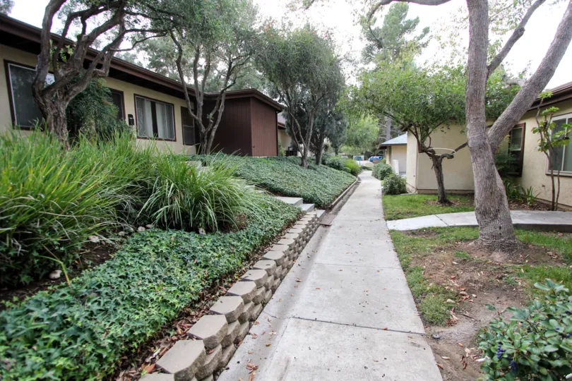 Sunset Greens ,: Santee  ,: California,greenery,pathway