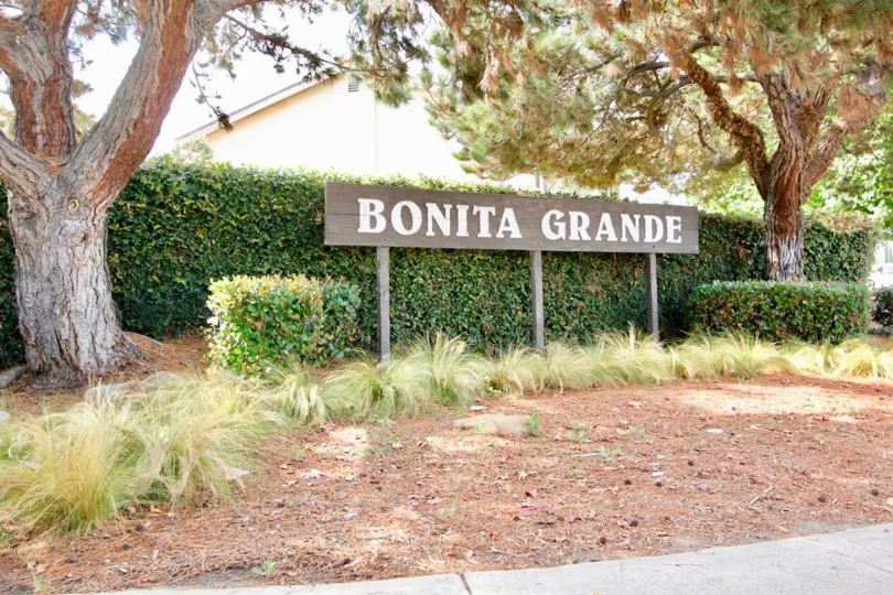 Bonita Grande  ,: Spring Valley  , California, trimmed bushed, white sky
