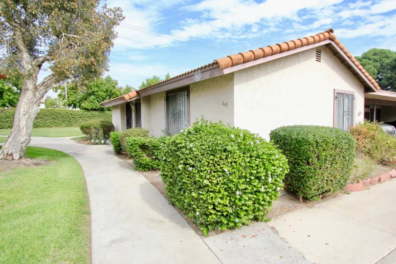 small house with big bushes around the walls and grass and pathways