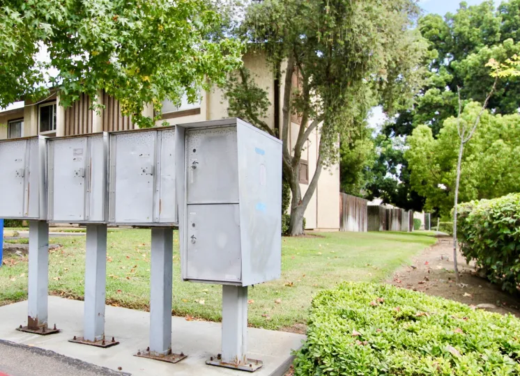 THE APARTMENT IN THE CAREFREE SOUTH WITH THE ELECTRONIC BOXES, GRASSLAND, PLANTS, TREES