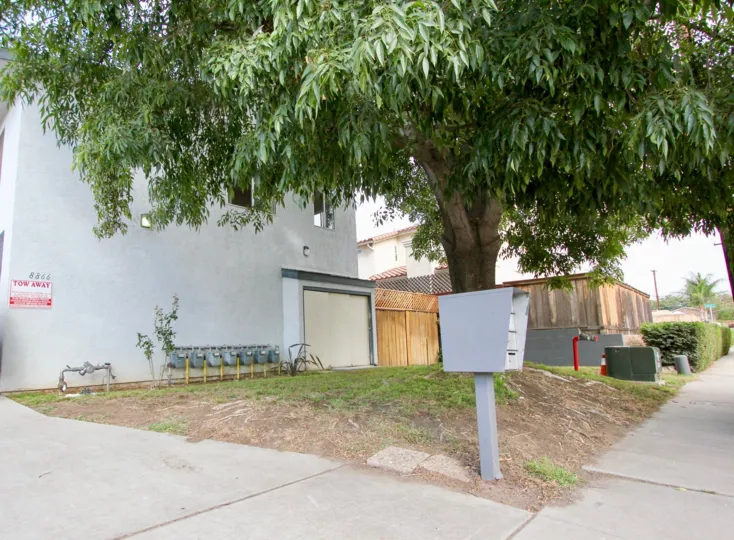 Goodland Acres , Spring Valley , California,tree, backyard