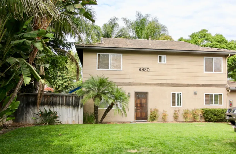 A sunny day in the area of Lamar Square, condo, palm trees, wooden fence, door, bushes