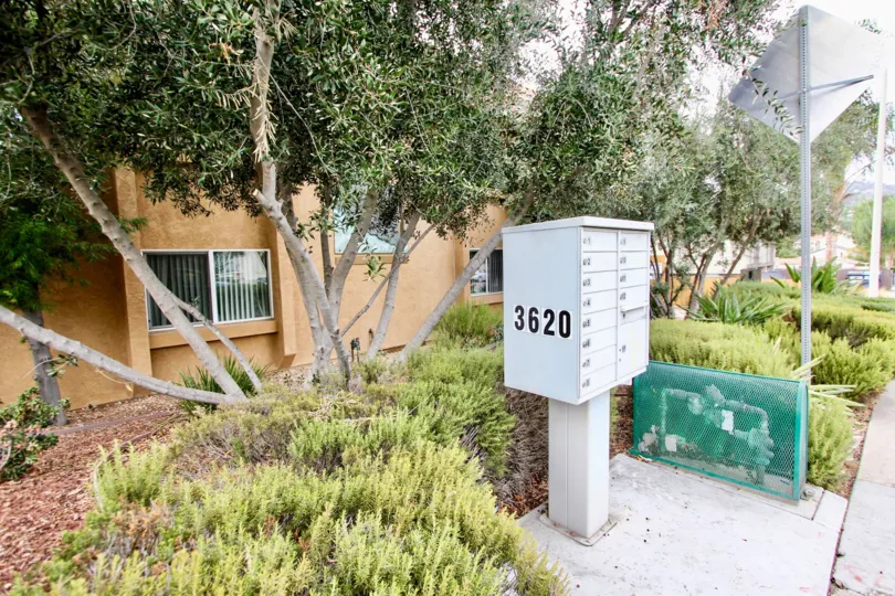 San Remos Villas , Spring Valley . California, number. branched tree bark