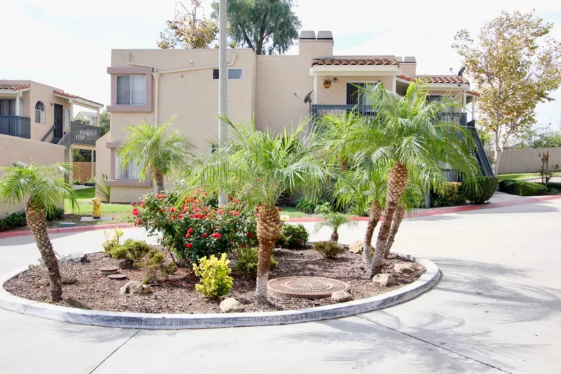A sunny day in the area of Sweetwater Views, ouside, palm trees, flowers, condos