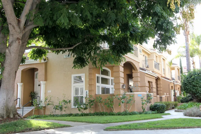 Housing with yards and a tree at Avanti in University City California