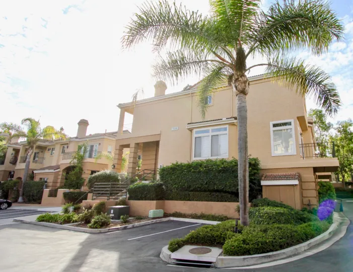 A parking area with palm tree and manicured landscaping at Avanti