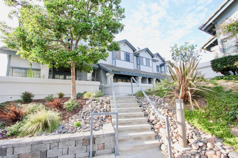 Short flight of stairs flanked by rocks and greenery at Cambridge Terrace in University City, California.