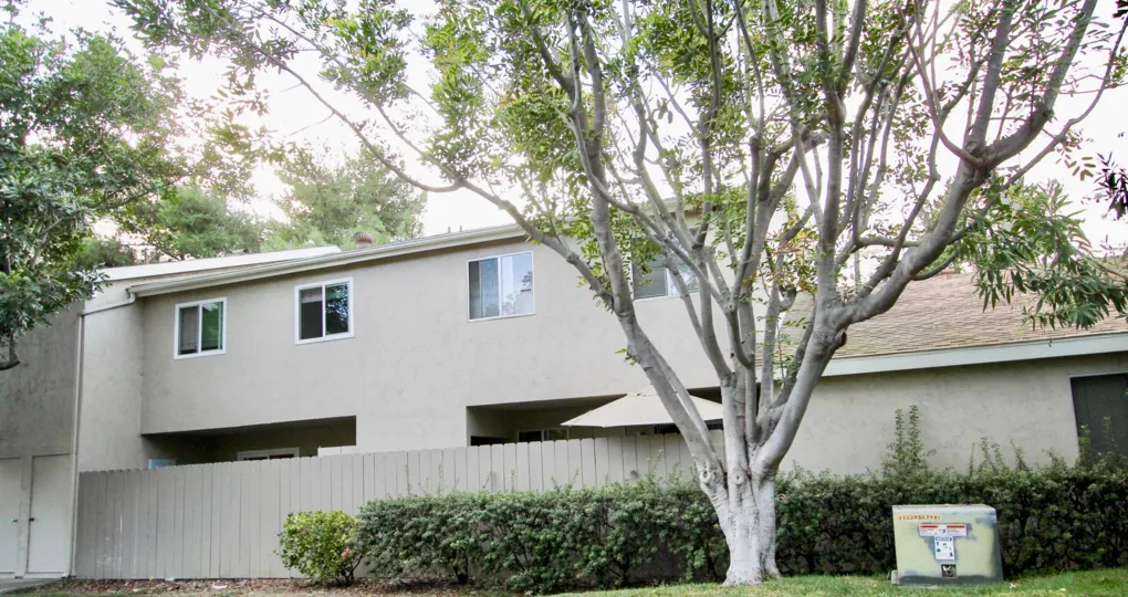 Tree and side of building in the Genesee Highlands neighborhood of University City, California.