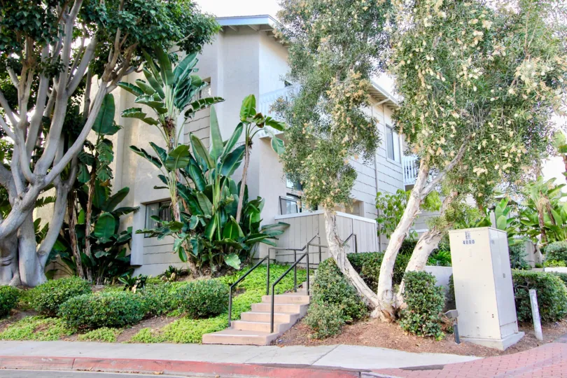 La Jolla Village Park, University City  ,California,trees,white building