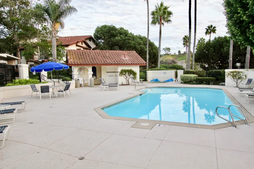 A relaxed and sanguine poolside amidst statuesque palms at La Paz, University City, California