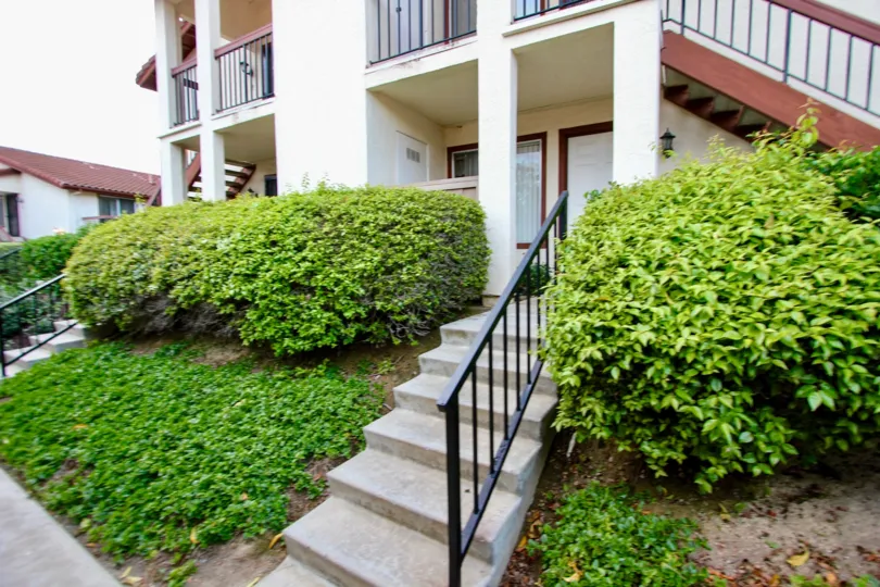 La Paz  , University City  , California, ,trimmed bushes,white sky