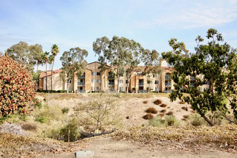 Unique landscaping at Lucera in University City, California.