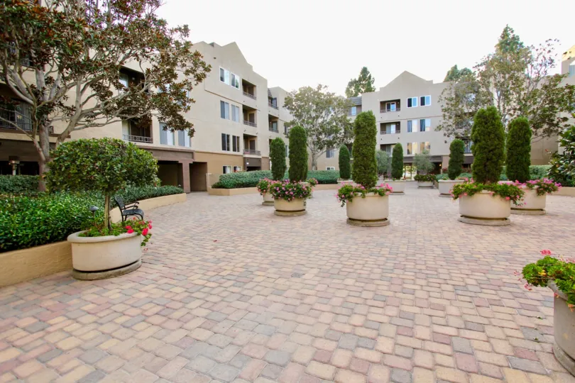 Patio with large potted trees near residential buildings at Villa Vicenza in University city CAlifornia
