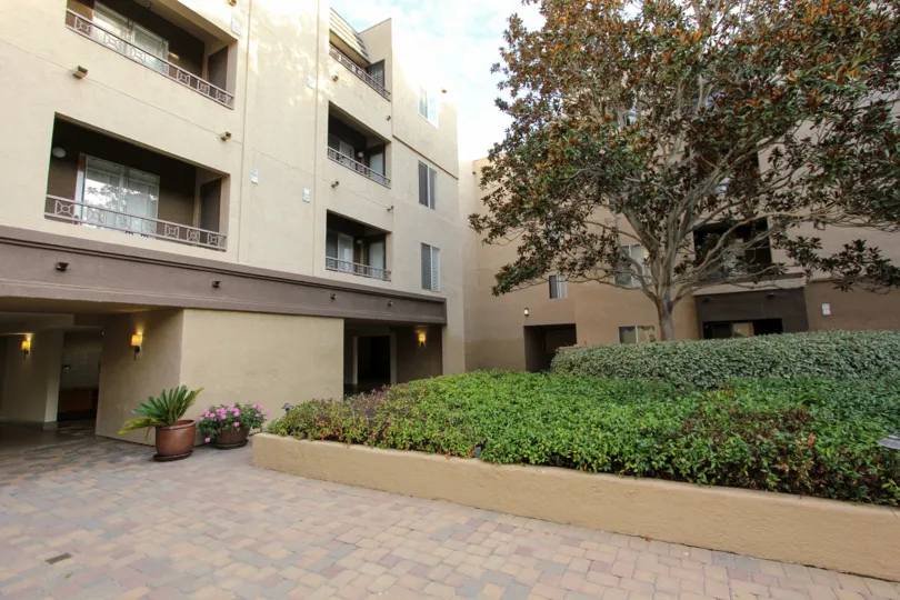 Villa Vicenza , University City  , California, brown building, plants