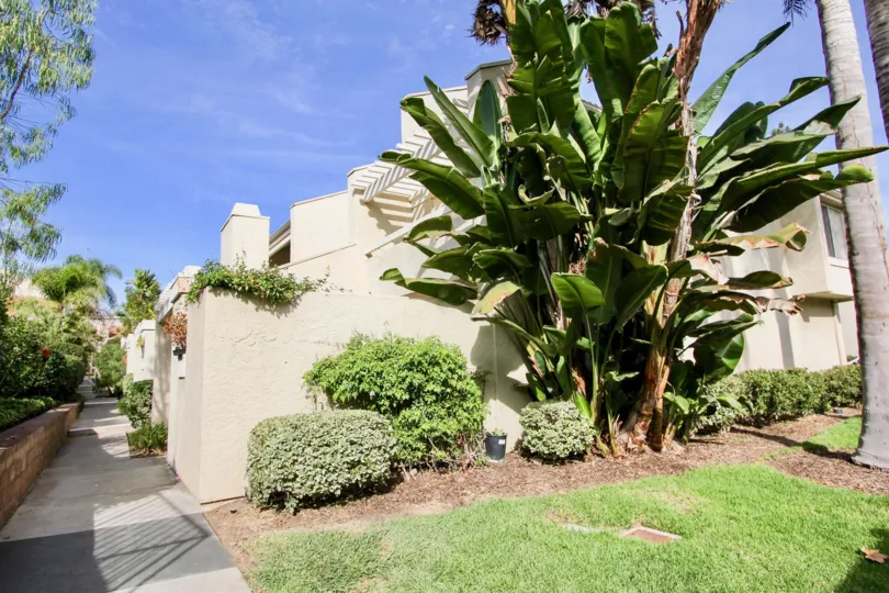 Blue skies overlooking tropical plants and sidewalk at Villas at University Park.