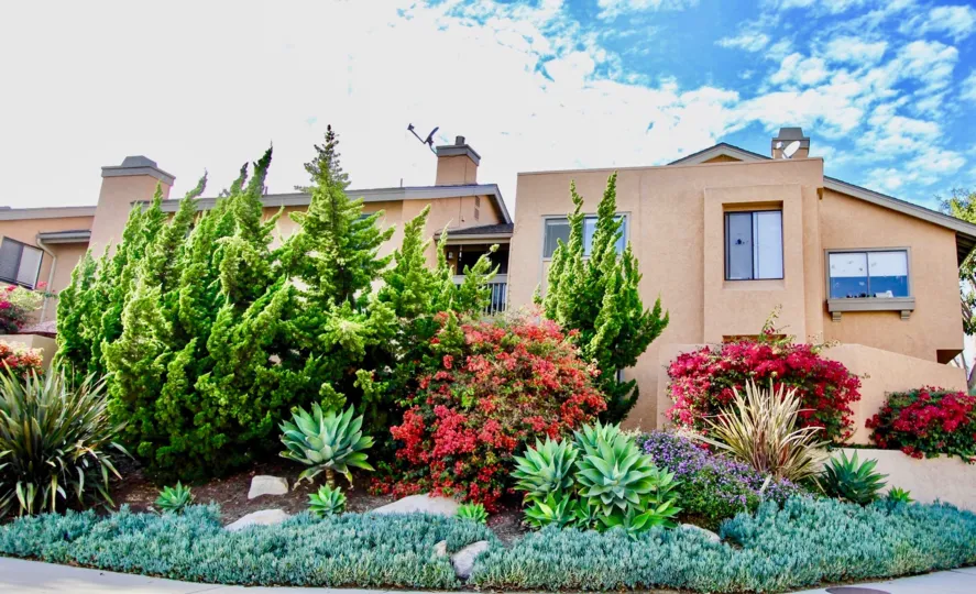 Landscaping perfection at Vista La Jolla in University City, California.