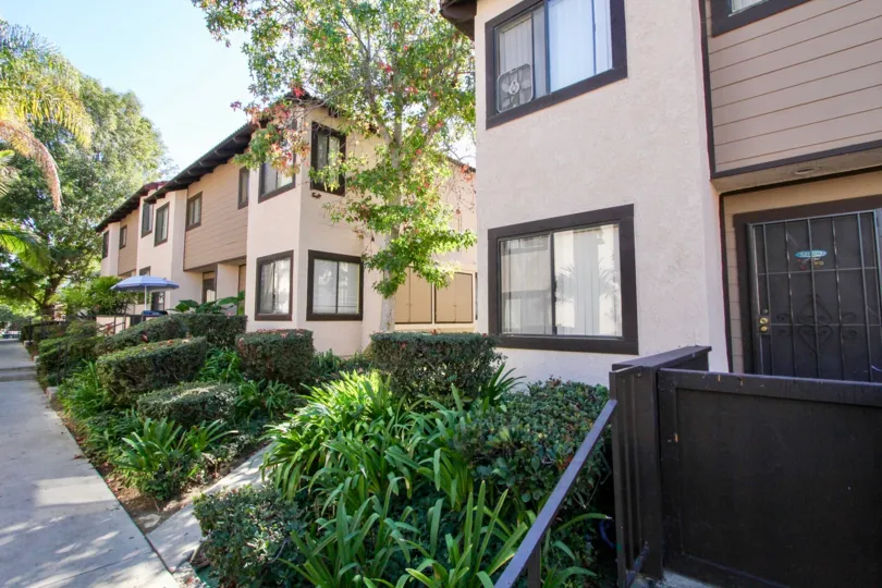 Front of residences with front yards with plants in the Buena Vista Townhomes