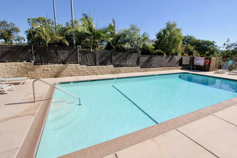 Swimming pool near fence and trees at Citrus Grove in Vista California