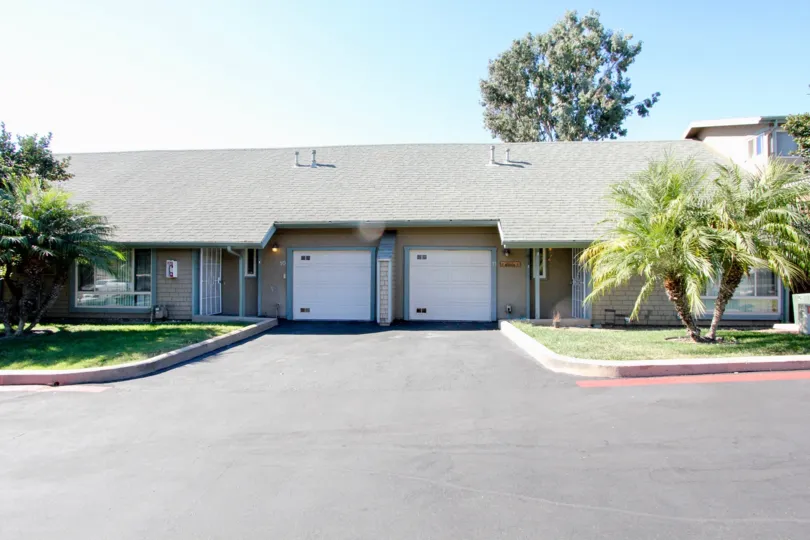 THE Citrus Grove MOST BEAUTIFUL AND COMFORTABLE PLACE FOR VISITOR BEAUTIFUL GARDEN CLEAN AREA VISIT WITH FAMILY