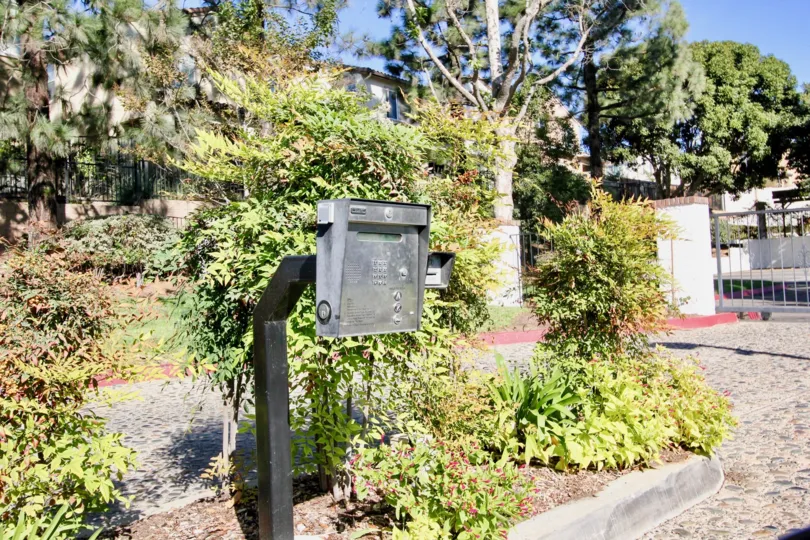 A sunny day in the area of Copper Hill, entrance buzzer. gate, tree