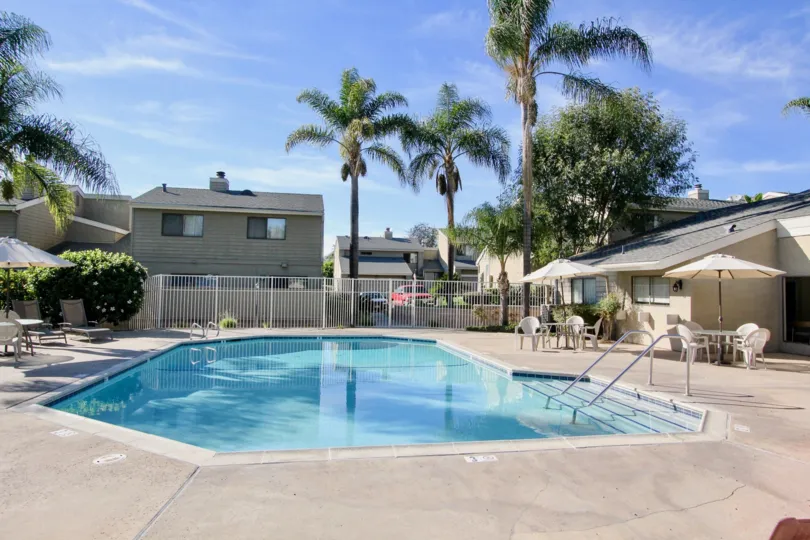 The swimming pool and Dining chairs with coconut trees in the Durain Place Townhomes