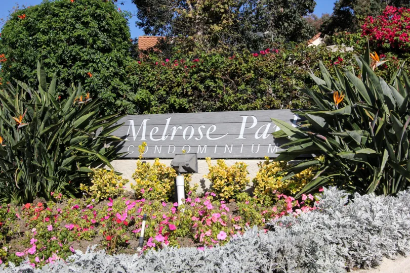 Melrose Park Vista , California, flowers, greenery, plants