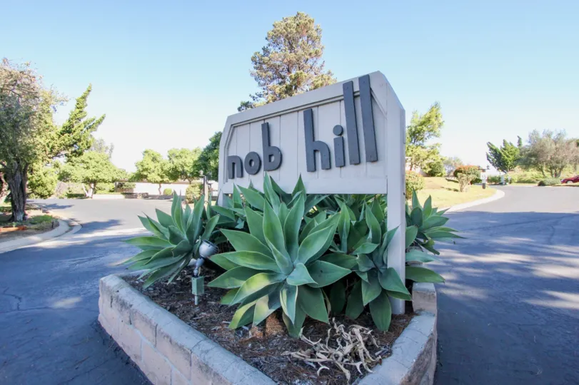 A sign saying "Nob Hill" with some succulent plants and trees in the background during a sunny day in Nob Hill, Vista, CA