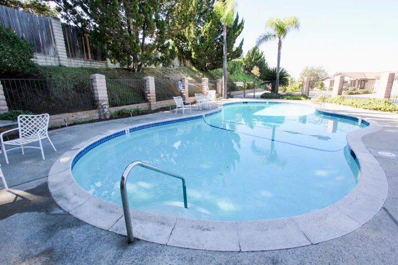 A sunny day at the palm-tree framed pool in community of Nob Hill