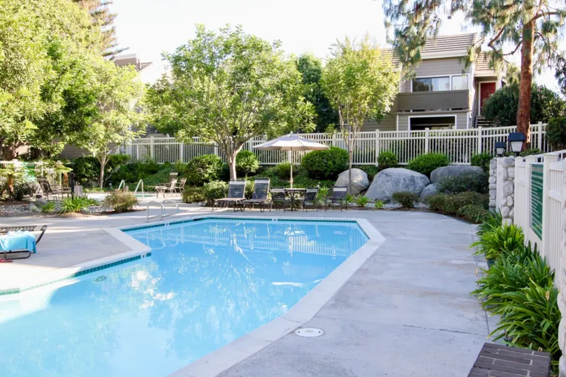 Large luxurious pool in a new garden located in the neighborhood of Shadowridge Aspens