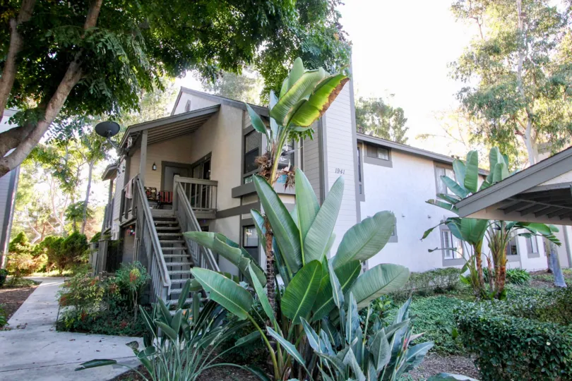 Lots of tall plants and trees surround a building in Shadowridge Club View.