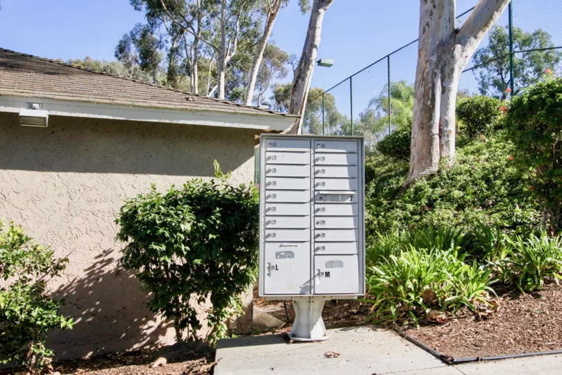 Mailbox on a sunny day in The Park in front of bushes
