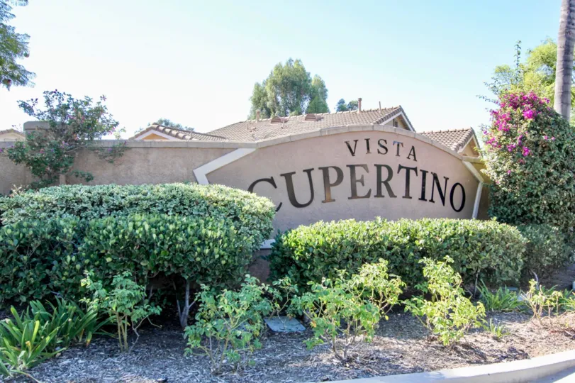 Vista Cupertino  ,: Vista  , California, blue sky,purple flowers