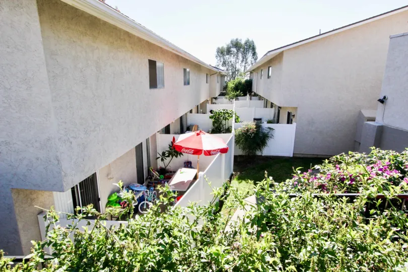 Vista Ladera , Vista , California, white sky, plants