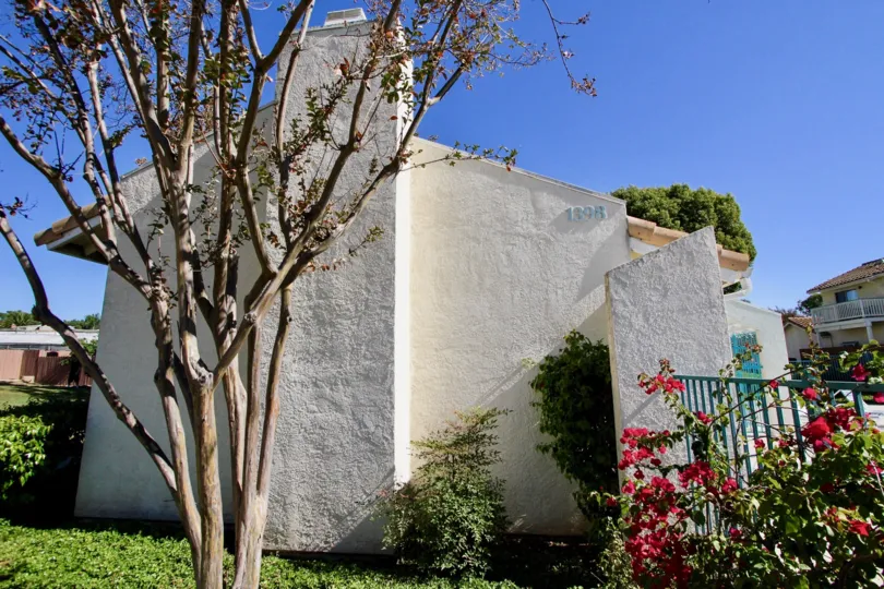 Housing with fence and a tree at Vista Palomar in Vista California