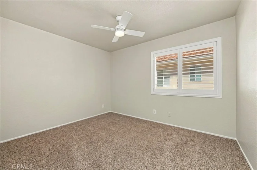 40153 Starling photo 31