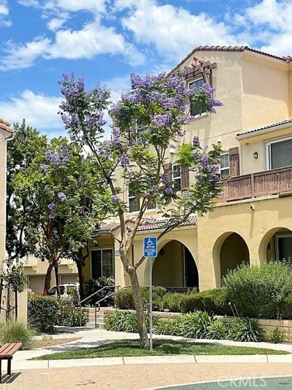 31161 Strawberry Tree Lane Photo