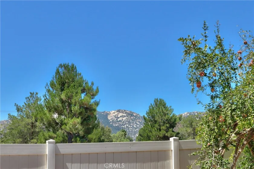 45743 Magnolia photo 46