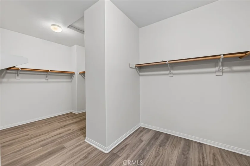 30780 Olympia Rose photo 50