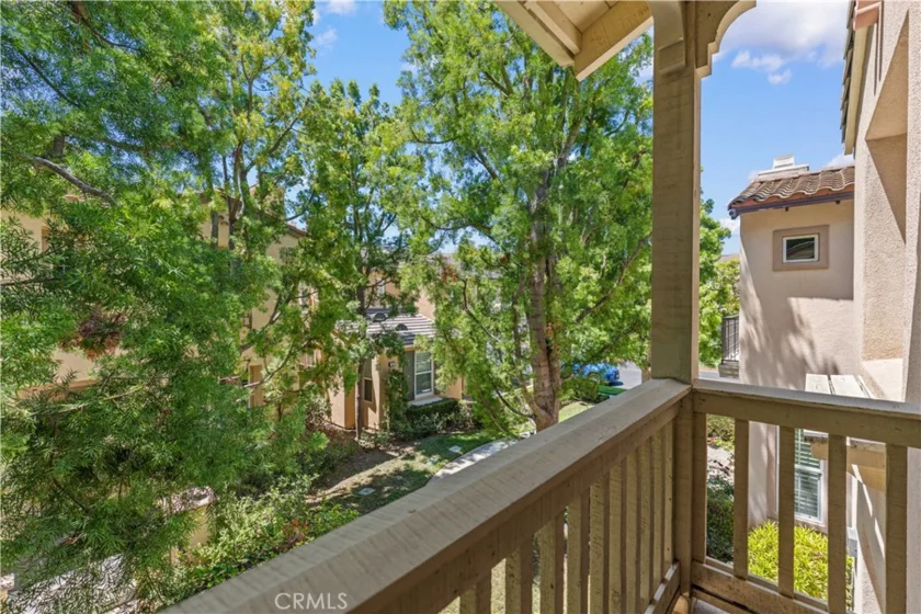 97 Canopy photo 48